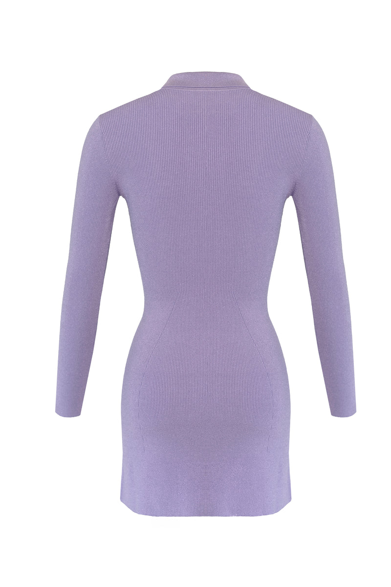 Long Sleeve Mini Flared Polo Dress